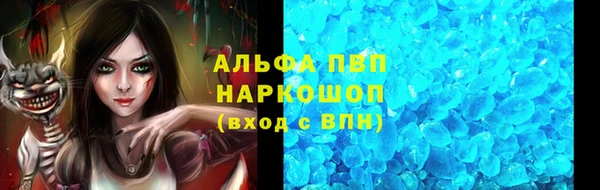 сатива Богородск