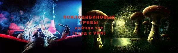 mdpv Богородицк