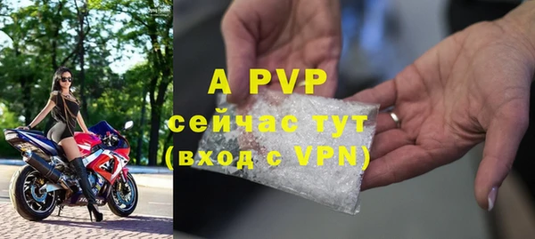 сатива Богородск